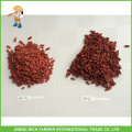 Dried Goji Berry Exporter in China Goji Berry 380g grains/50g